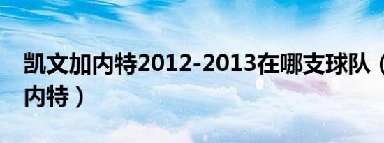 凯文加内特2012-2013在哪支球队（凯文 加内特）