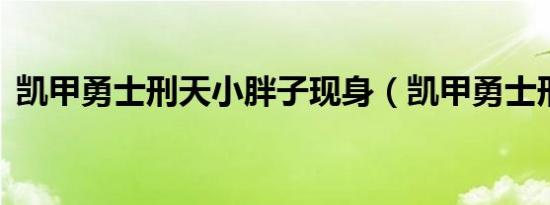 凯甲勇士刑天小胖子现身（凯甲勇士刑天2）