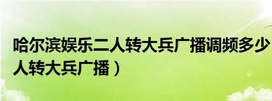 哈尔滨娱乐二人转大兵广播调频多少（娱乐二人转大兵广播）