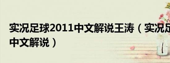 实况足球2011中文解说王涛（实况足球2011中文解说）