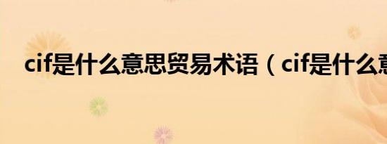 cif是什么意思贸易术语（cif是什么意思）