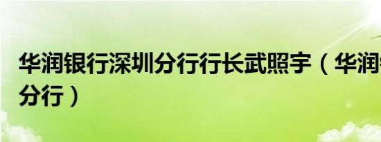 华润银行深圳分行行长武照宇（华润银行深圳分行）