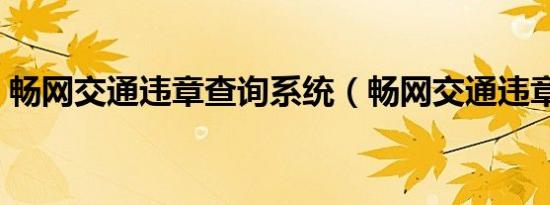 畅网交通违章查询系统（畅网交通违章查询）