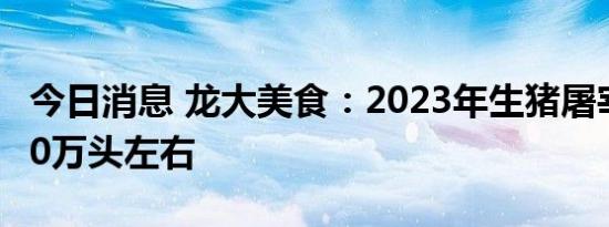 今日消息 龙大美食：2023年生猪屠宰规划700万头左右