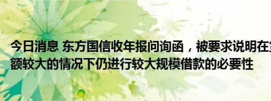 今日消息 东方国信收年报问询函，被要求说明在货币资金余额较大的情况下仍进行较大规模借款的必要性