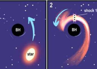 潮汐冲击可以照亮被黑洞拉开的恒星残骸