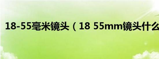 18-55毫米镜头（18 55mm镜头什么意思）