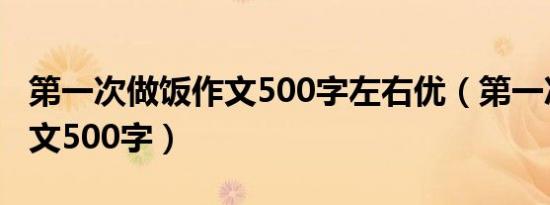 第一次做饭作文500字左右优（第一次做饭作文500字）