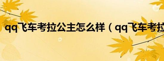 qq飞车考拉公主怎么样（qq飞车考拉公主）