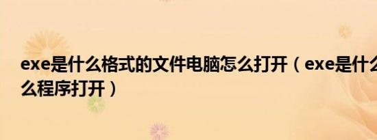 exe是什么格式的文件电脑怎么打开（exe是什么文件用什么程序打开）