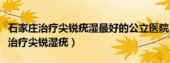 石家庄治疗尖锐疣湿最好的公立医院（石家庄治疗尖锐湿疣）