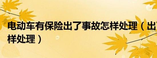 电动车有保险出了事故怎样处理（出了事故怎样处理）