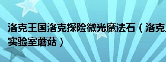 洛克王国洛克探险微光魔法石（洛克王国微光实验室蘑菇）