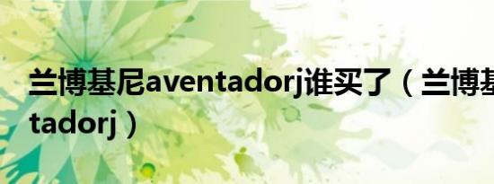 兰博基尼aventadorj谁买了（兰博基尼aventadorj）