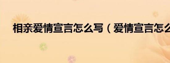 相亲爱情宣言怎么写（爱情宣言怎么写）