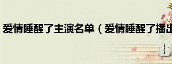 爱情睡醒了主演名单（爱情睡醒了播出时间）