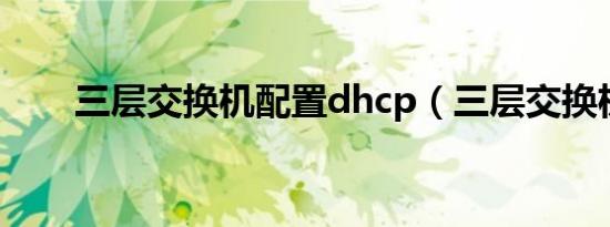 三层交换机配置dhcp（三层交换机）