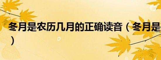 冬月是农历几月的正确读音（冬月是农历几月）