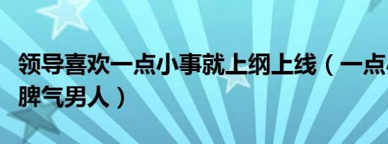 领导喜欢一点小事就上纲上线（一点小事就发脾气男人）