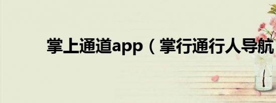 掌上通道app（掌行通行人导航）