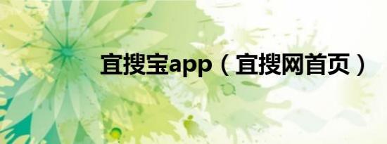 宜搜宝app（宜搜网首页）