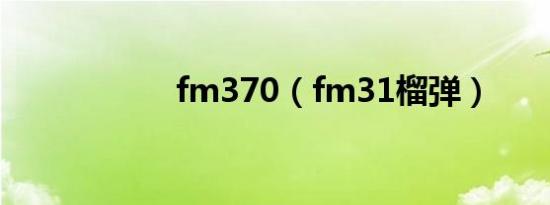 fm370（fm31榴弹）