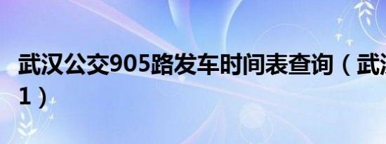 武汉公交905路发车时间表查询（武汉公交901）