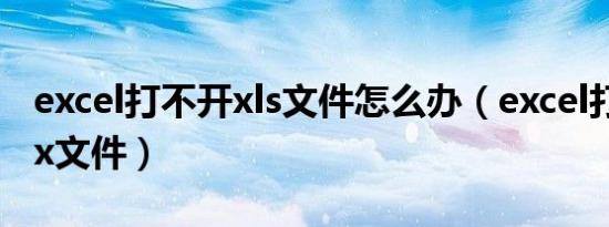 excel打不开xls文件怎么办（excel打不开xlsx文件）