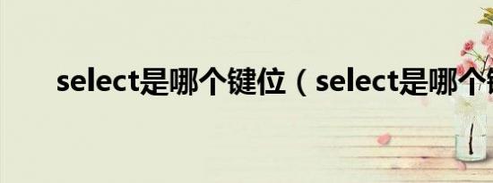 select是哪个键位（select是哪个键）