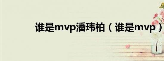 谁是mvp潘玮柏（谁是mvp）