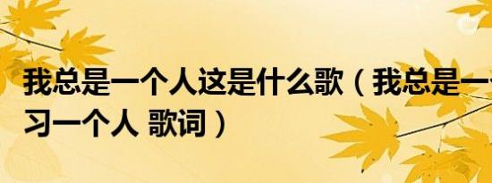 我总是一个人这是什么歌（我总是一个人在练习一个人 歌词）