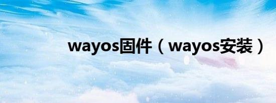 wayos固件（wayos安装）