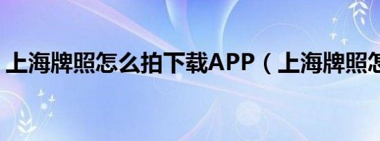 上海牌照怎么拍下载APP（上海牌照怎么拍）