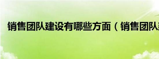 销售团队建设有哪些方面（销售团队建设）