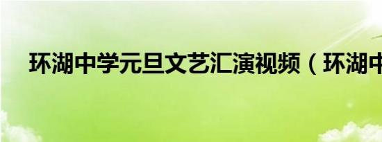 环湖中学元旦文艺汇演视频（环湖中学）