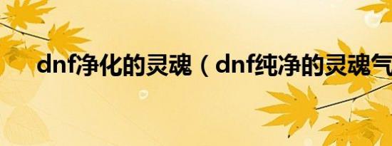 dnf净化的灵魂（dnf纯净的灵魂气息）