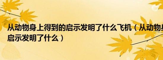 从动物身上得到的启示发明了什么飞机（从动物身上得到的启示发明了什么）