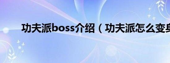 功夫派boss介绍（功夫派怎么变身）