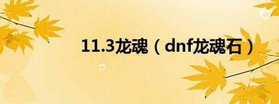 11.3龙魂（dnf龙魂石）