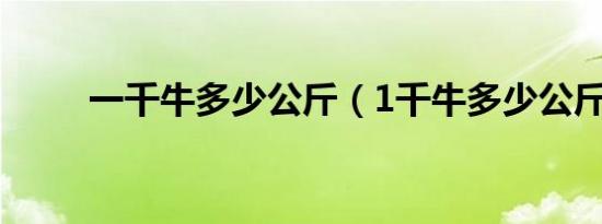 一千牛多少公斤（1千牛多少公斤）