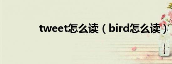 tweet怎么读（bird怎么读）