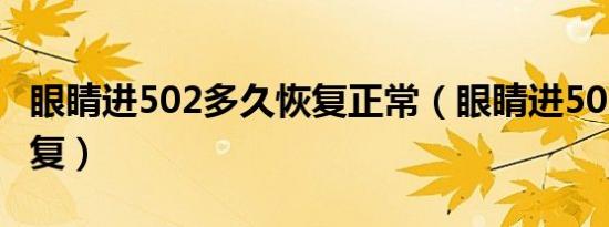 眼睛进502多久恢复正常（眼睛进502 多久恢复）