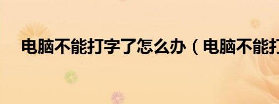 电脑不能打字了怎么办（电脑不能打字）