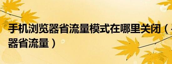 手机浏览器省流量模式在哪里关闭（手机浏览器省流量）