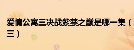 爱情公寓三决战紫禁之巅是哪一集（爱情公寓三）