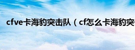 cfve卡海豹突击队（cf怎么卡海豹突击队）