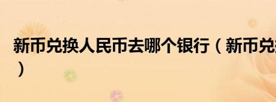 新币兑换人民币去哪个银行（新币兑换人民币）