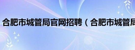 合肥市城管局官网招聘（合肥市城管局官网）