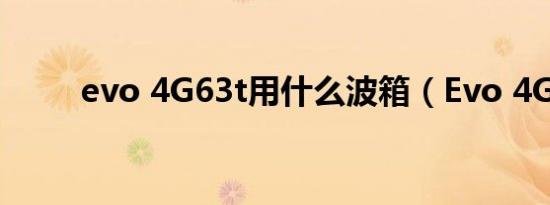 evo 4G63t用什么波箱（Evo 4G）