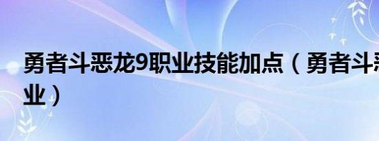 勇者斗恶龙9职业技能加点（勇者斗恶龙9 职业）